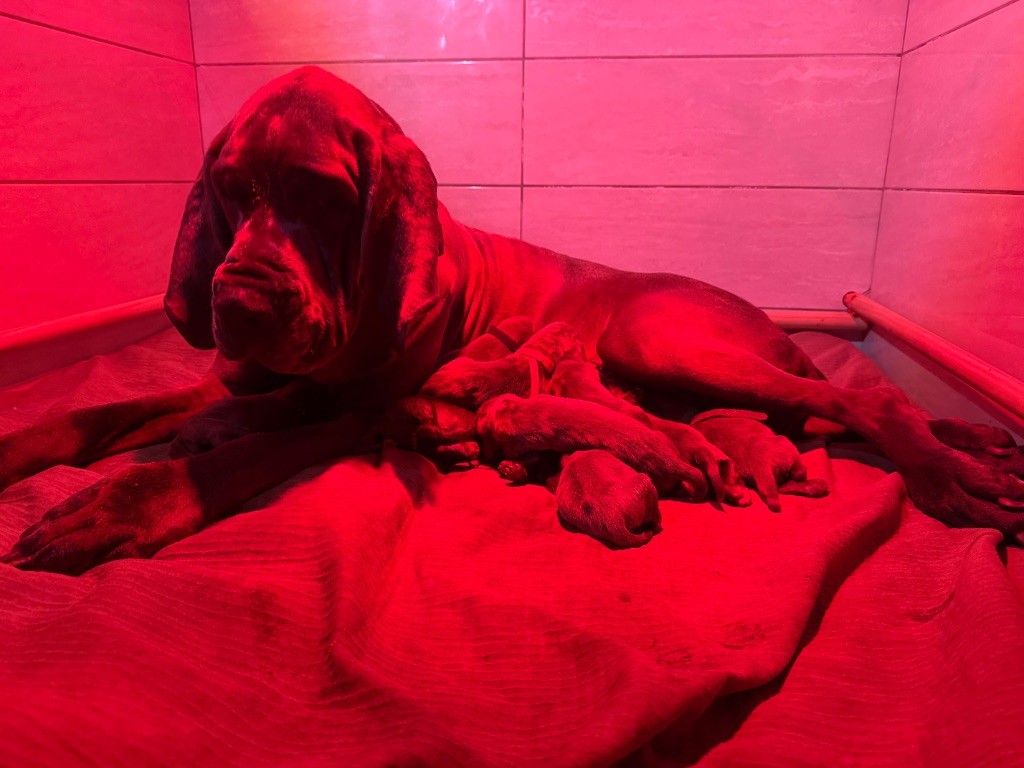 Splatsh  Des Iles Aux Falaises